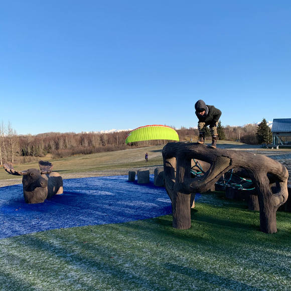 Meet your Posher, Solomon - Picture 1 of 1